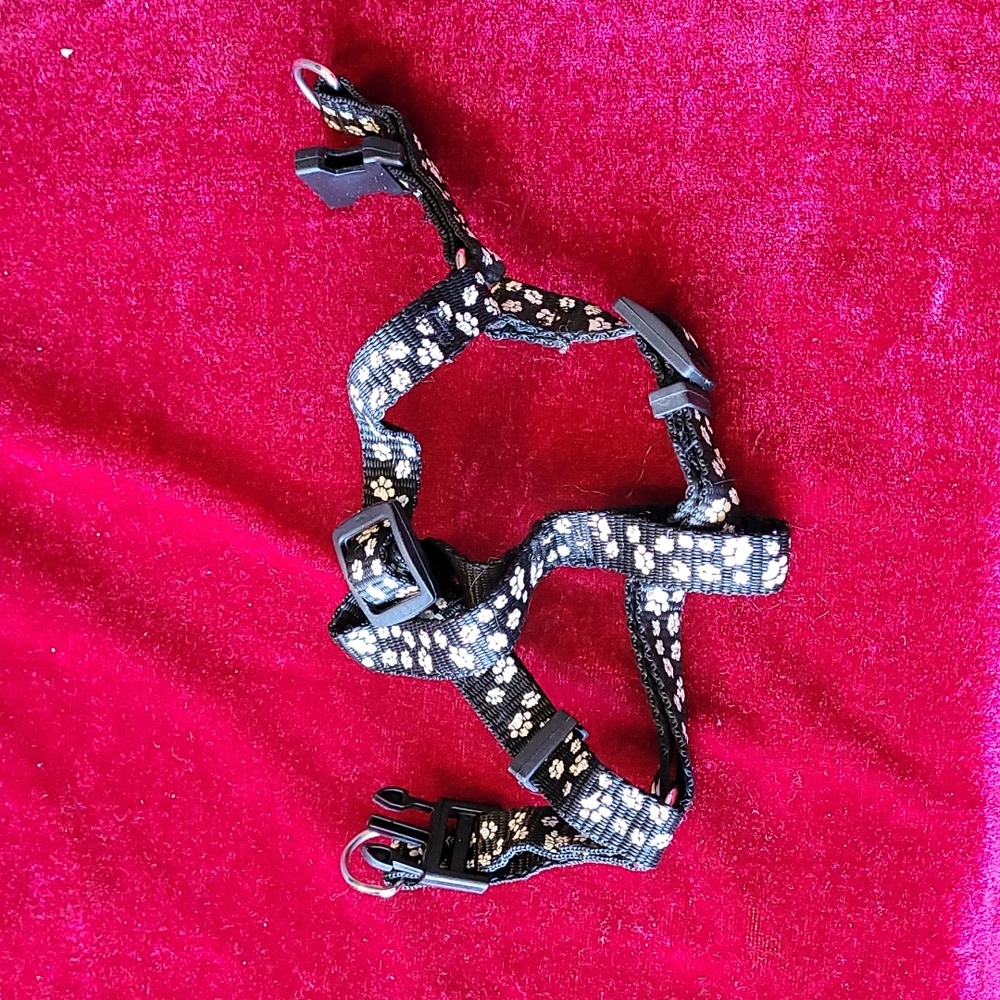 XXS harness for 🐕